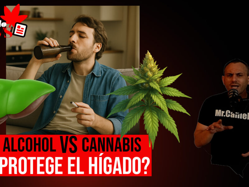 Alcohol VS Cannabis ¿Protege el Hígado?