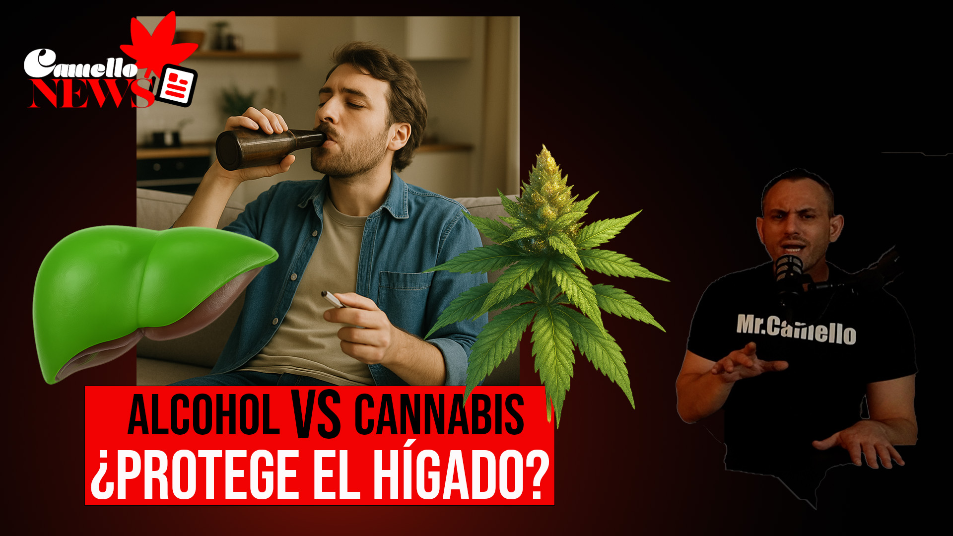Alcohol VS Cannabis ¿Protege el Hígado?