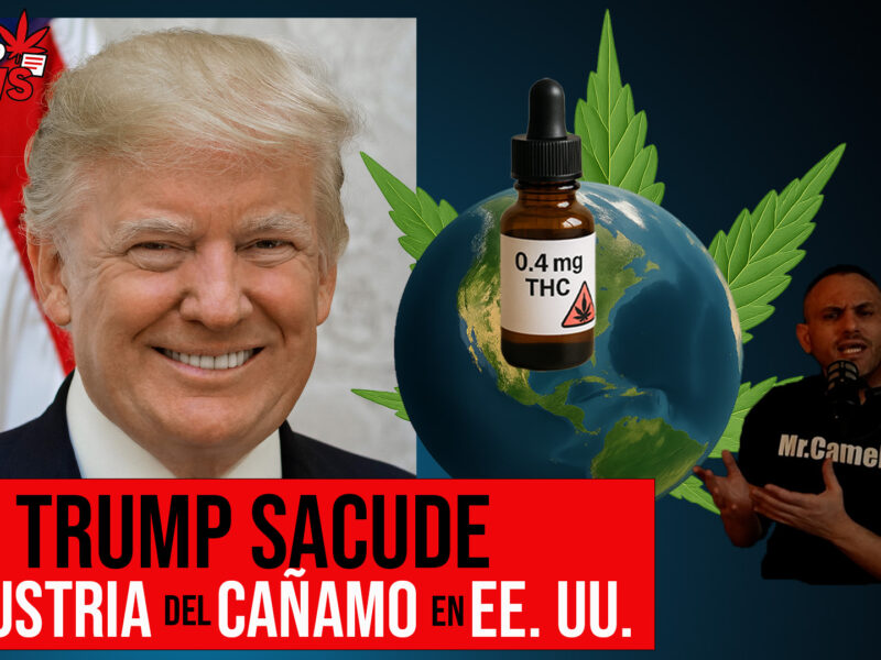 Donald Trump Sacude la Industria del Cáñamo: Nueva Norma Federal en EE.UU.