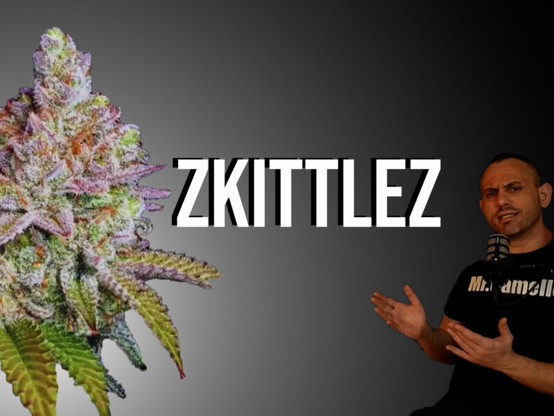 Zkittlez: La Variedad de Marihuana que sabe a Caramelos