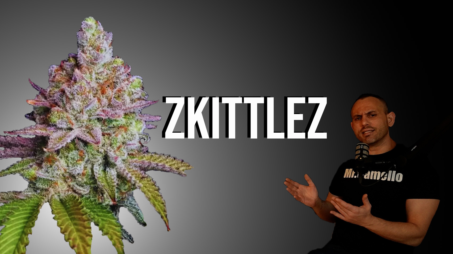 Zkittlez: La Variedad de Marihuana que sabe a Caramelos