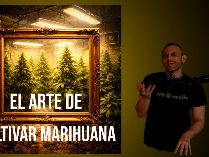 El Arte de Cultivar Marihuana: PASO 1 ( Guía Avanzada Cultivo Marihuana Inteiror)