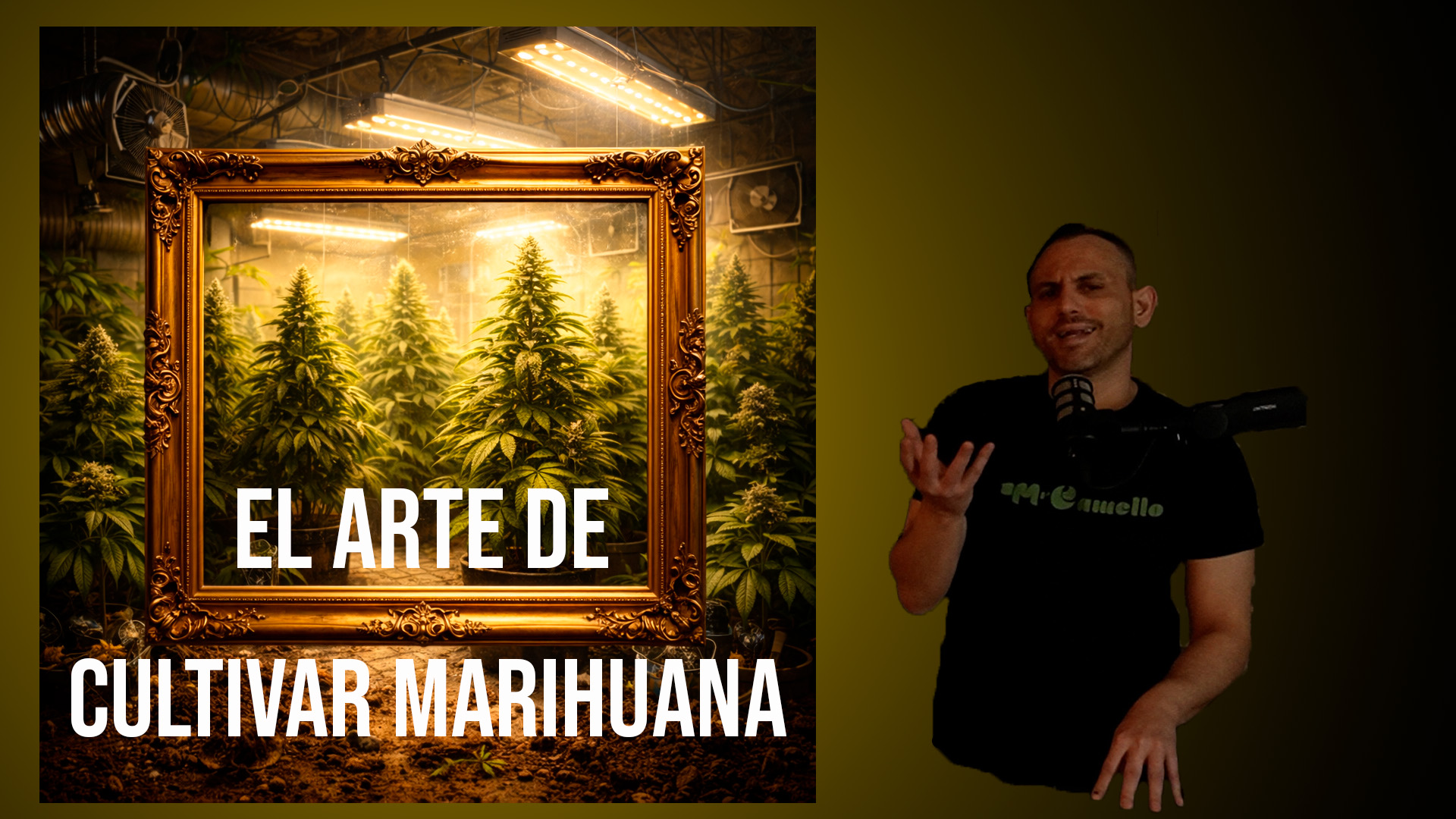 El Arte de Cultivar Marihuana: PASO 1 ( Guía Avanzada Cultivo Marihuana Inteiror)