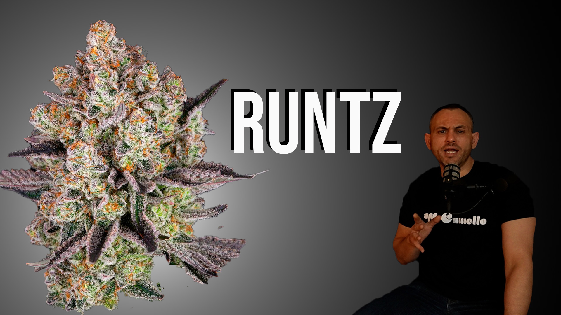 Runtz: origen, genética y por qué marcó una generación